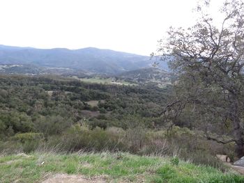 Scenic view of landscape and mountains against clear sky