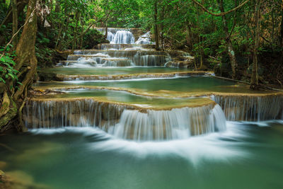 Scenic view of waterfall in forest