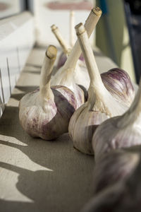 Close-up of garlic on table