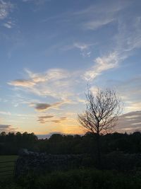Silhouette bare tree on field against sky at sunset