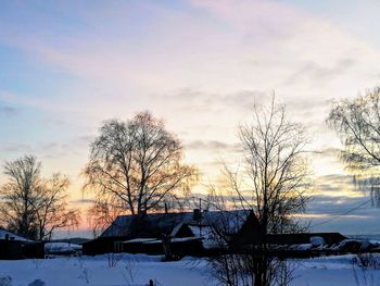 Bare trees and buildings against sky during winter