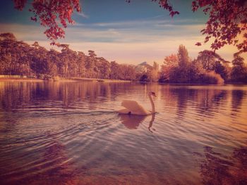 Scenic view of lake at sunset