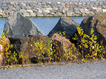 Large blocks of granite right next to the waterfront.