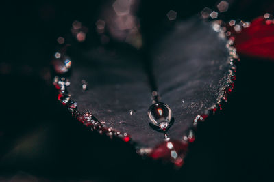 Close-up of raindrops on water