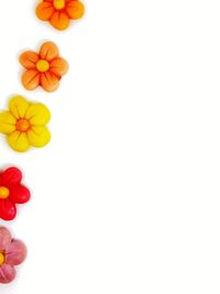 High angle view of multi colored flowers against white background