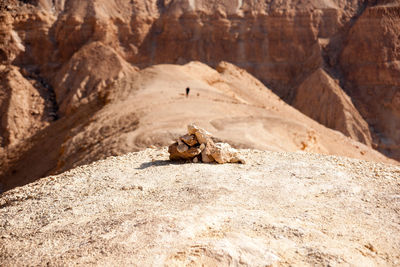 Rocks on land