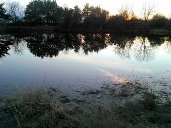 Reflection of trees in calm lake