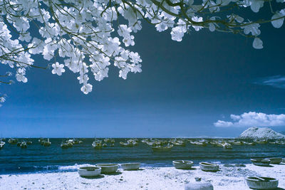 Scenic view of sea against blue sky