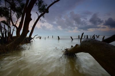 Scenic view of sea against sky during sunset