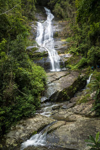 Scenic view of waterfall in forest