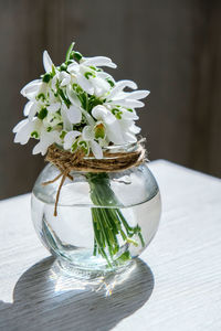 Bouquet of snowdrops in a glass vase with water. copy space for text. early spring flowers. holiday