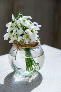 Close-up of white flowers in vase on table