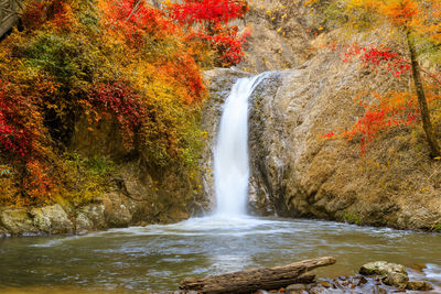 Scenic view of waterfall in forest during autumn