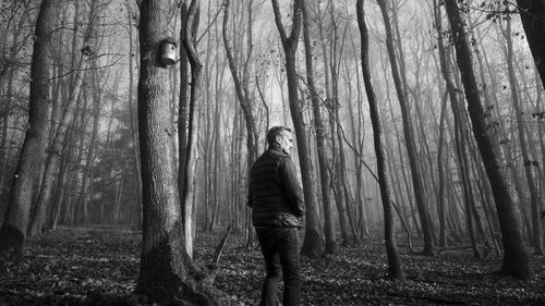 Man standing by tree trunk in forest