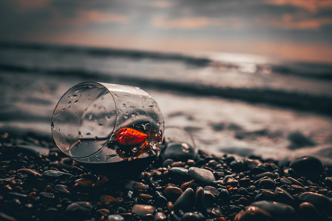 CLOSE-UP OF CRAB ON SHORE