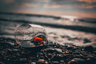 Close-up of crab on beach