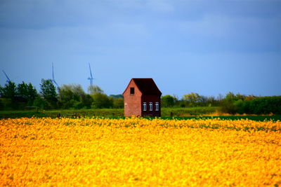 House on field against sky