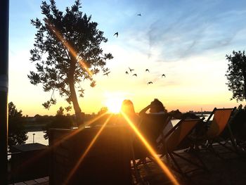 Silhouette birds flying over trees against sky during sunset