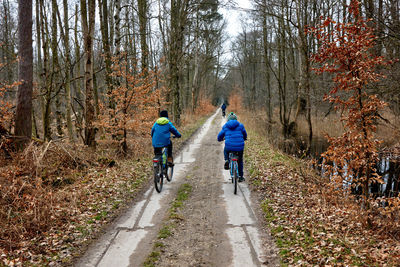 Rear view of people riding bicycle in forest