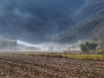 Scenic view of field against sky