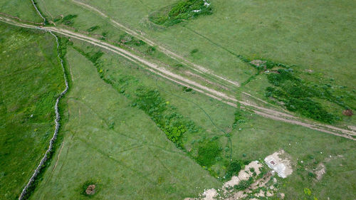 High angle view of agricultural field