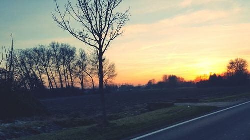 Bare trees on landscape against sky at sunset