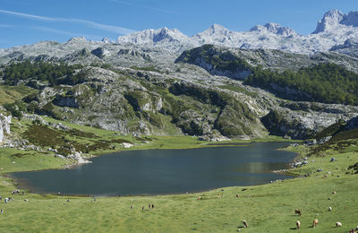 Lakes in the high mountains on a summer day, colors of summer