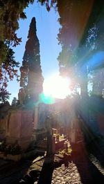 Sunlight streaming through trees against sky on sunny day