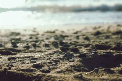 Surface level of pebbles