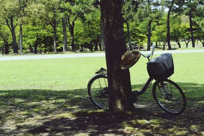 Parked trees in park