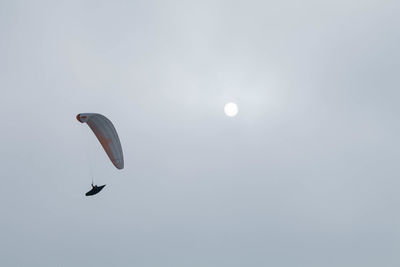 Low angle view of bird flying in sky