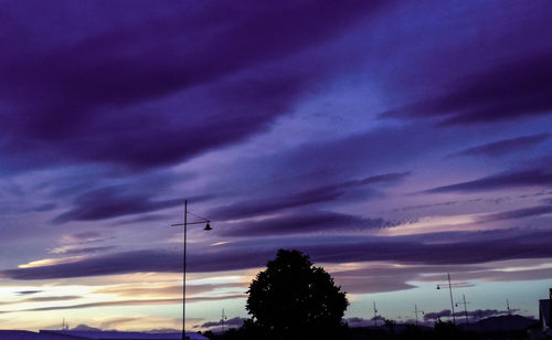 Low angle view of silhouette trees against sky during sunset