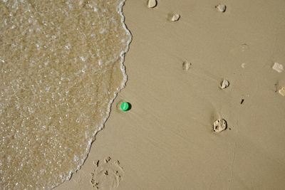 Close-up of footprints on sand