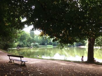 Empty bench by trees in park