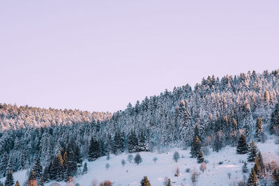 Snow covered landscape against clear sky
