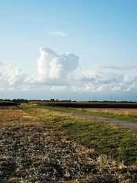 Scenic view of field against sky