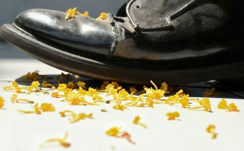 Close-up of yellow flowers