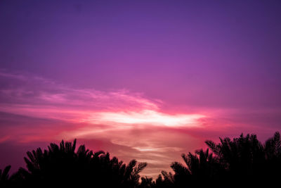 Low angle view of silhouette trees against sky during sunset