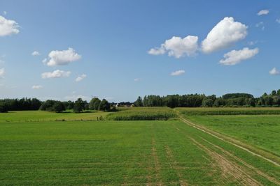 Scenic view of agricultural field against sky