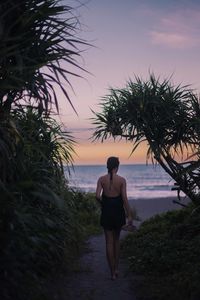 Rear view of young woman standing at beach during sunset