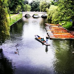 People rowing boat in river