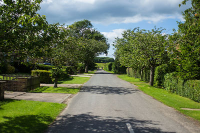 Empty footpath amidst trees against cloudy sky