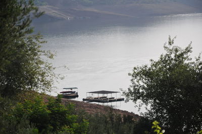 High angle view of plants by sea against sky