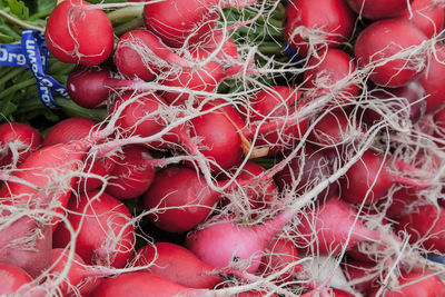 High angle view of radishes for sale in market