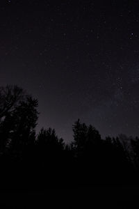 Low angle view of silhouette trees against sky at night