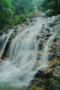 View of waterfall in forest