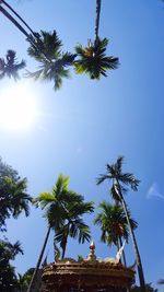 Low angle view of palm trees against clear sky