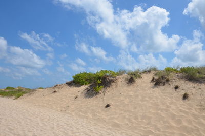 Scenic view of desert against sky
