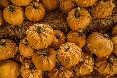 Full frame shot of pumpkins for sale