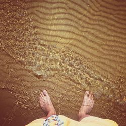 Low section of person on sand at beach